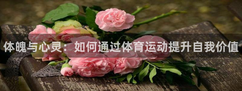 米兰体育官方正版app娱乐是那个系列的台子:体魄与心灵:如何