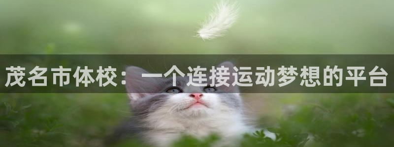 米兰体育官方正版app官网:茂名市体校:一个连接运动梦想的平