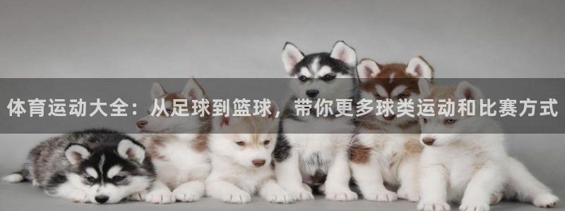 米兰体育官方平台体育:体育运动大全:从足球到篮球,带你更多球